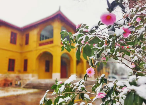 image16.png image16.png