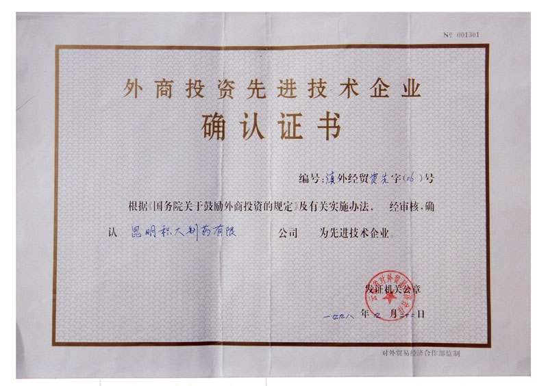 外商投資先進技術(shù)企業(yè)