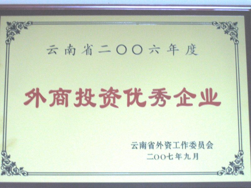 2006年度“外商投資優(yōu)秀企業(yè)”