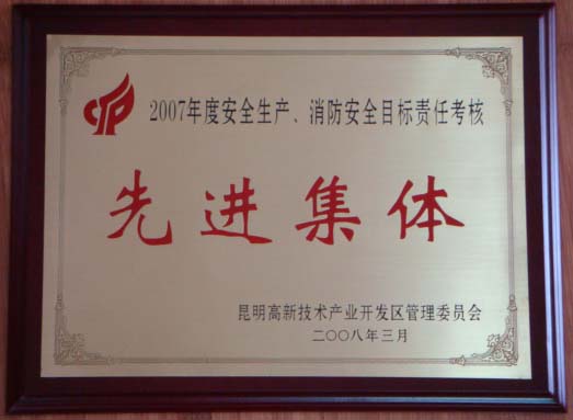 2007年度高新區(qū)安全生產(chǎn)、消防安全目標(biāo)考核先進(jìn)集體