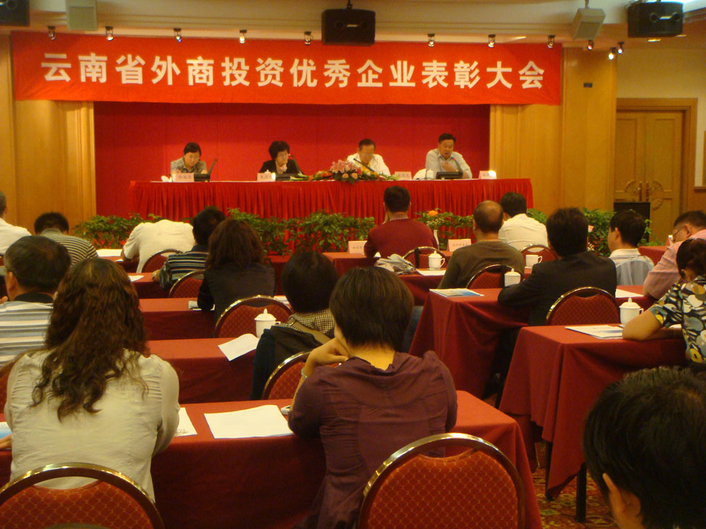 優(yōu)秀外商投資企業(yè)表彰會