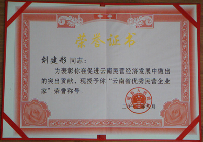 優(yōu)秀民營(yíng)業(yè)企業(yè)家