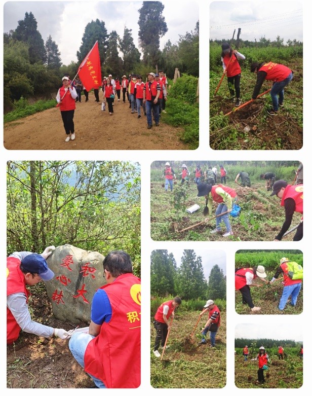 公司黨支部主題黨日活動(dòng)